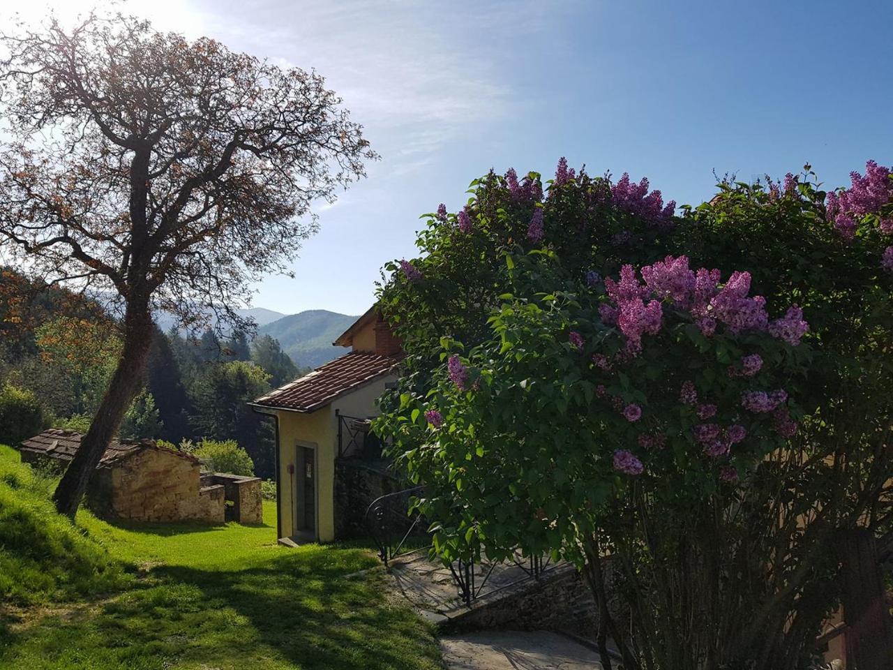 Borgo Tramonte Hotel Pratovecchio Ngoại thất bức ảnh